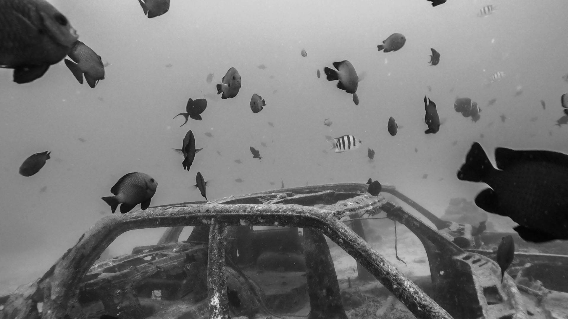 underwater photo of car